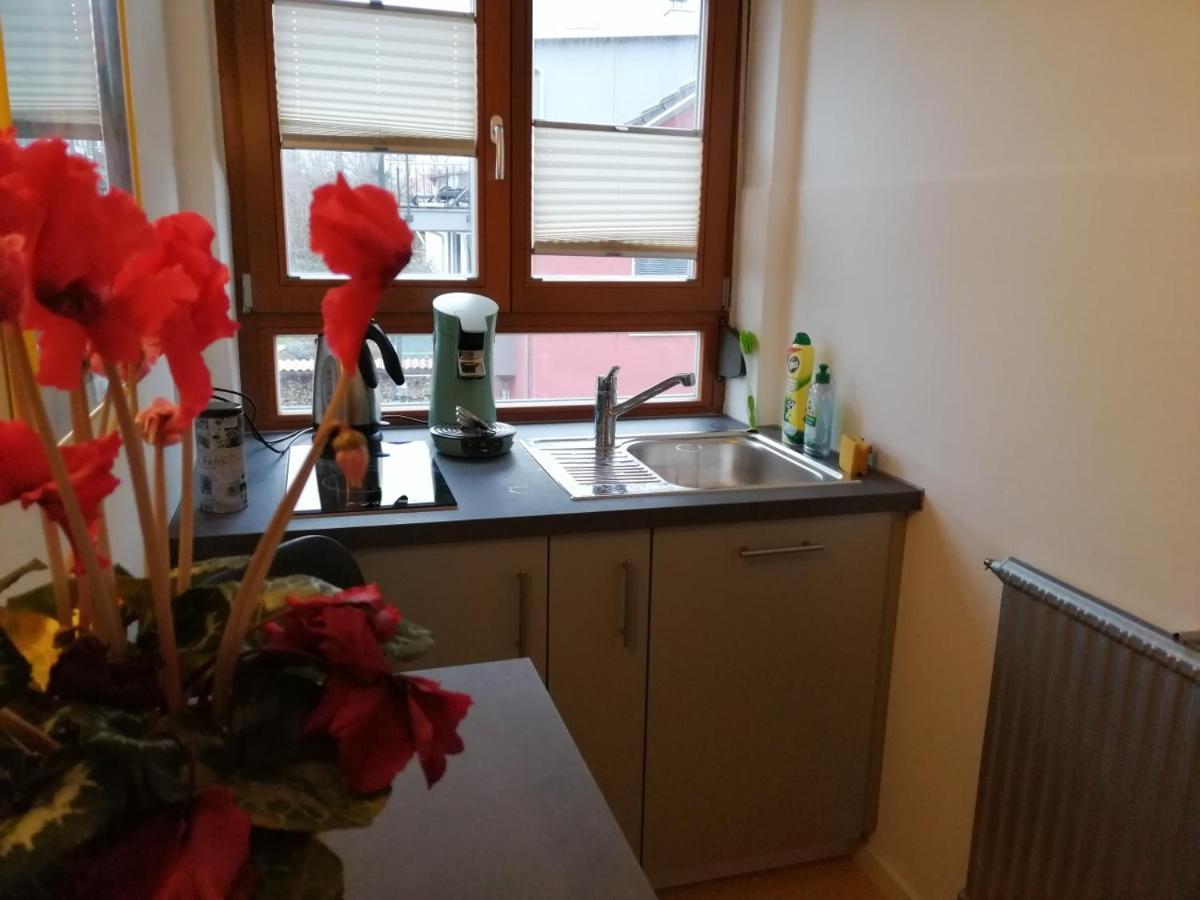 Haus Meersburg Rebe Apartment Bagian luar foto